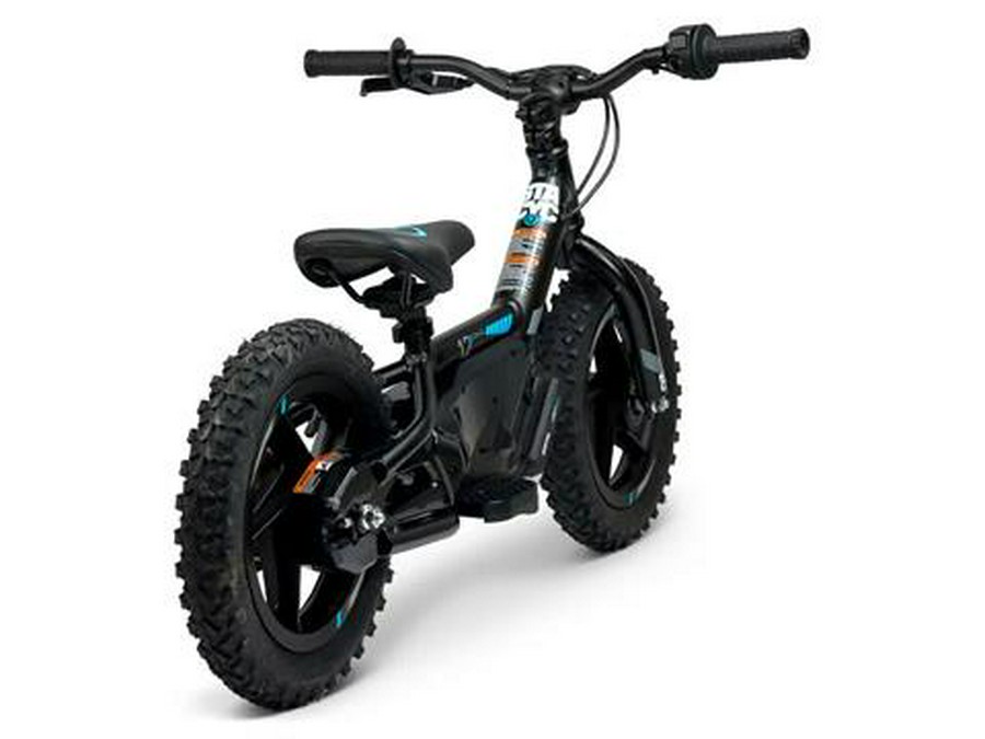 2025 Stacyc 12eDRIVE