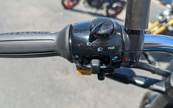 2025 Royal Enfield INT BEAR 650