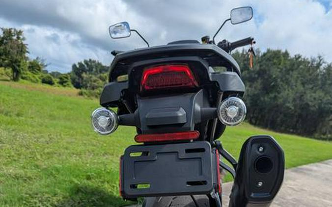 2025 Harley-Davidson® RA1250ST - Pan America® 1250 ST