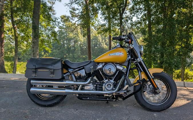 FLSL 2019 Softail Slim®