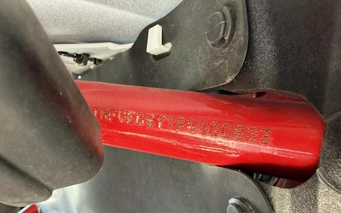 2022 Ducati Multistrada 1260 Enduro Ducati Red