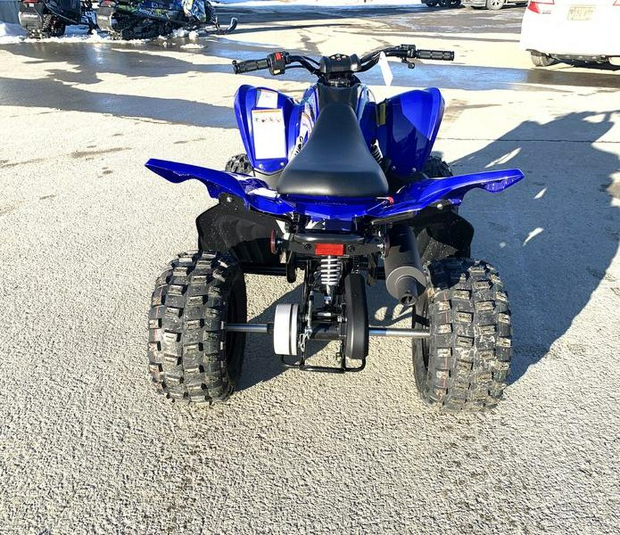 2024 Yamaha Raptor 110