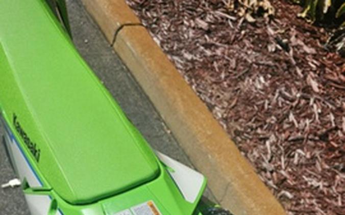 2026 Kawasaki KX 450SR