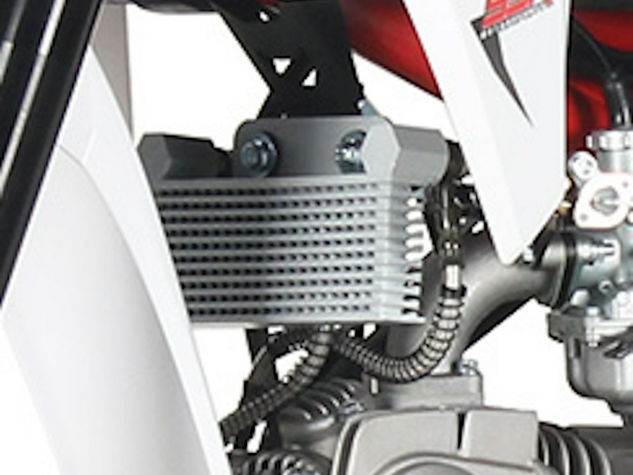 2025 SSR SR125RB White