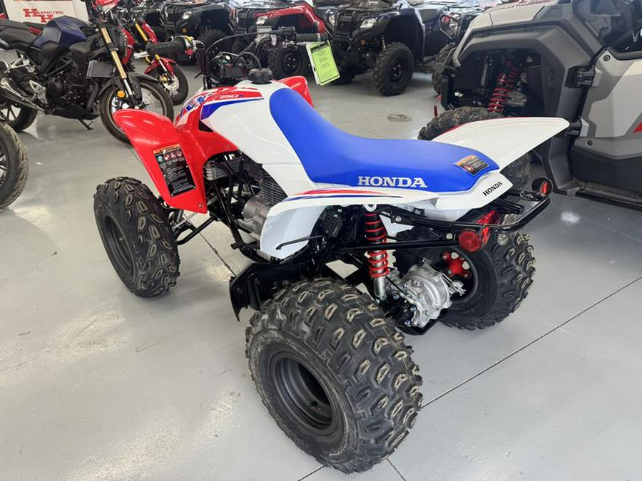 2026 Honda® TRX250XT