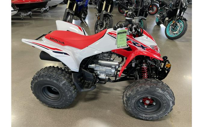 2024 Honda TRX250X