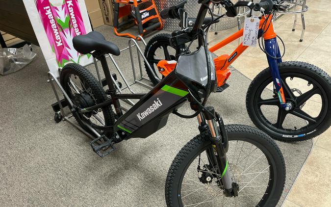 2025 Kawasaki ELEKTRODE 20FS