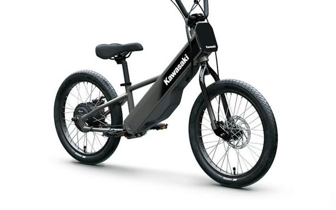 2025 Kawasaki ELEKTRODE 20FS
