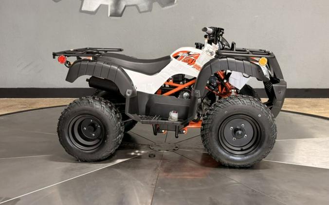 2026 Kayo Bull 150 EFI