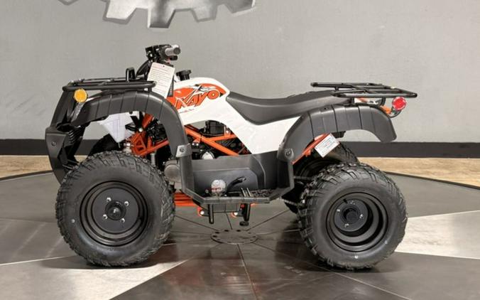2026 Kayo Bull 150 EFI