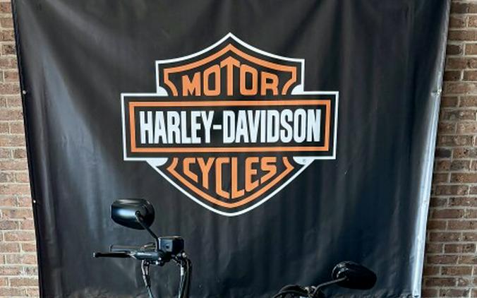 2018 Harley-Davidson Forty-Eight Special XL 1200XS Wicked Red