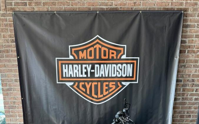 2018 Harley-Davidson Forty-Eight Special XL 1200XS Wicked Red