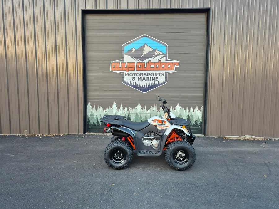 2024 Kayo BULL 200-WHT - 00331