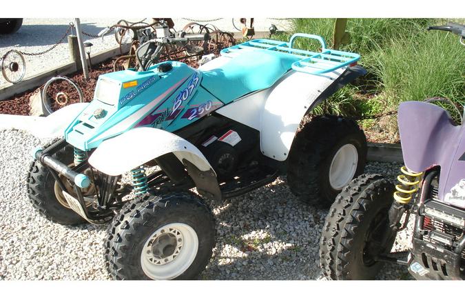 1994 250 Trailboss - Polaris