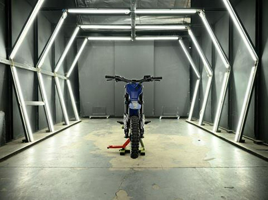 2025 Rawrr Mantis Mini Pup