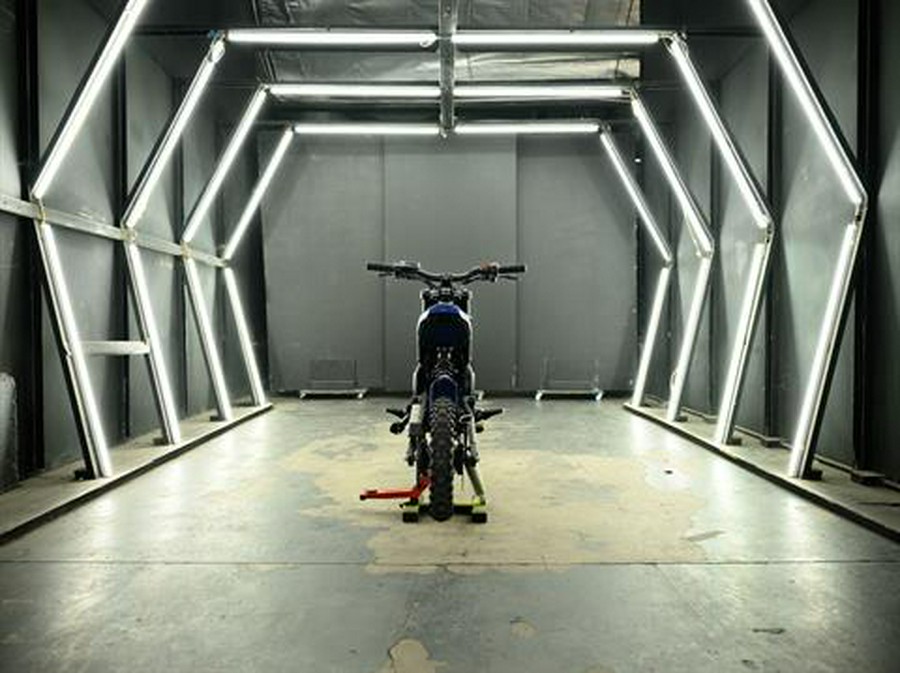 2025 Rawrr Mantis Mini Pup