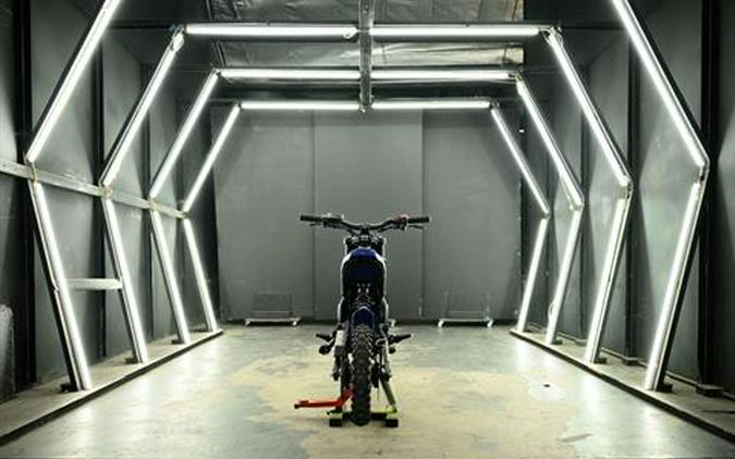 2025 Rawrr Mantis Mini Pup