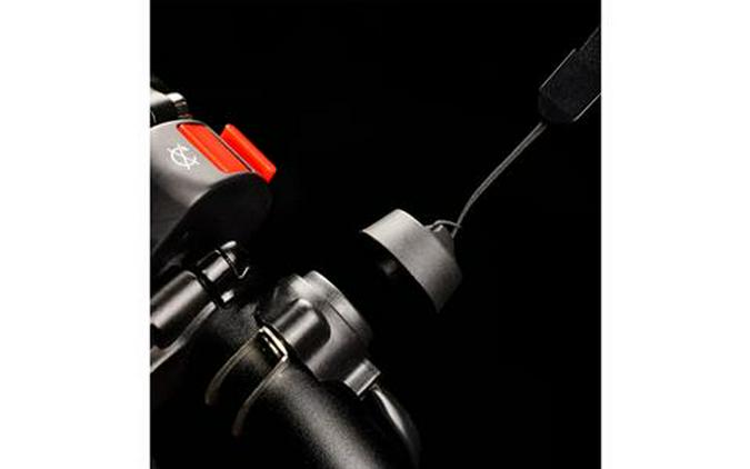 2025 Rawrr Mantis Mini Pup