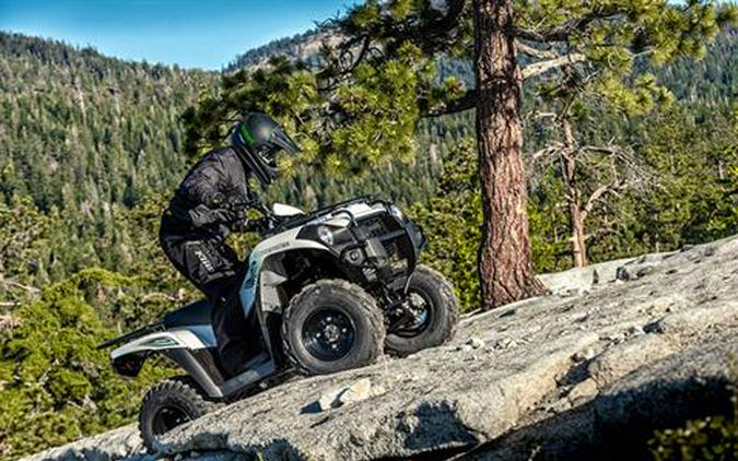 2018 Kawasaki Brute Force 300