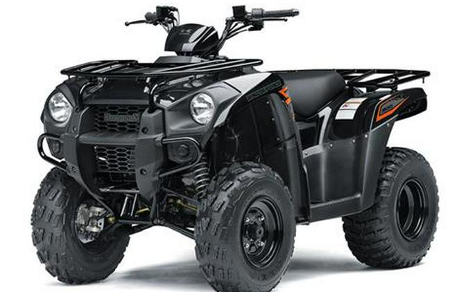 2018 Kawasaki Brute Force 300