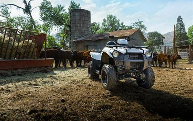 2018 Kawasaki Brute Force 300