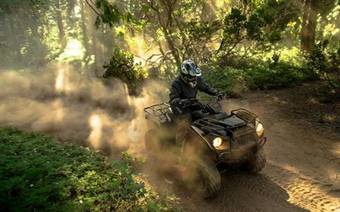 2018 Kawasaki Brute Force 300