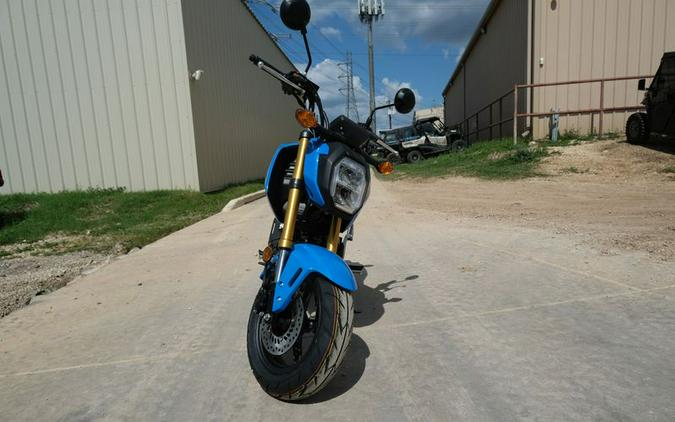 New 2025 HONDA GROM 125