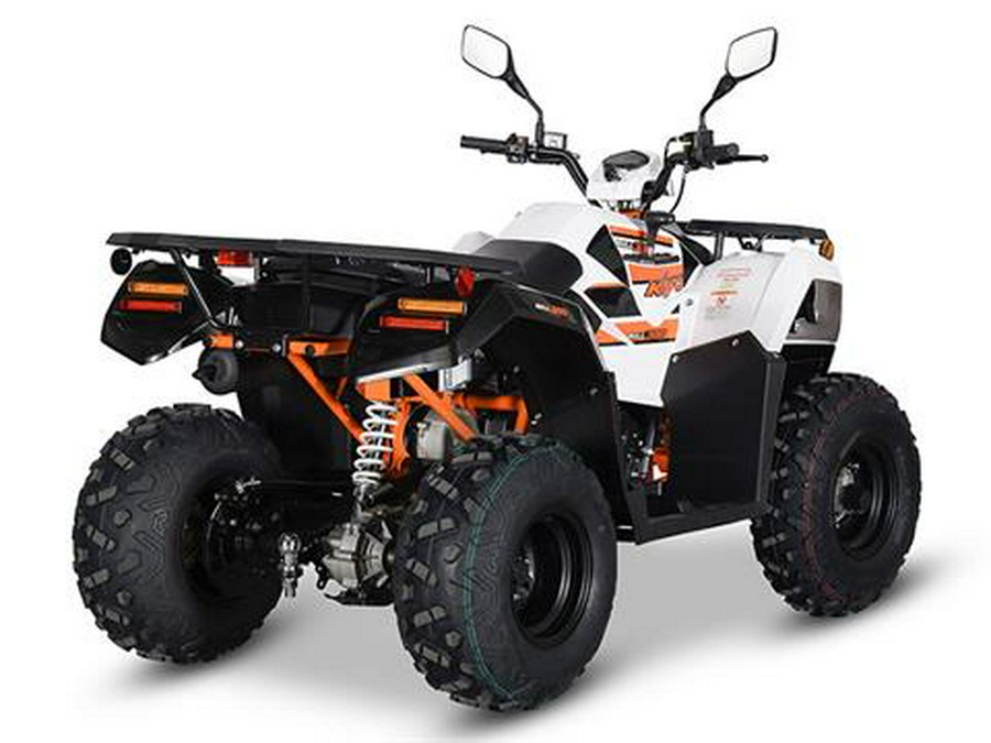 2024 Kayo Bull 300 EFI