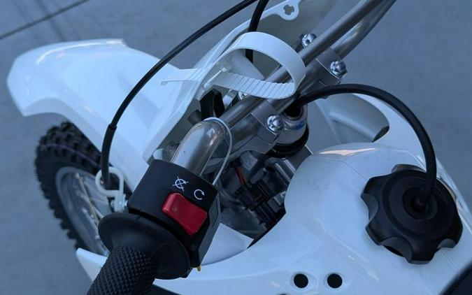 2026 Kawasaki KLX®110R