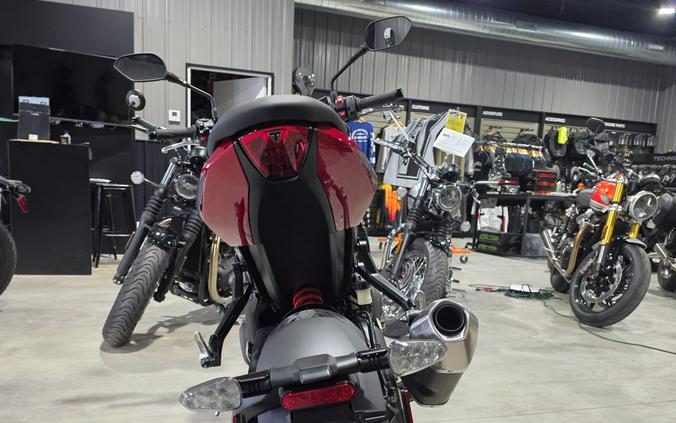 2026 Triumph Trident 800