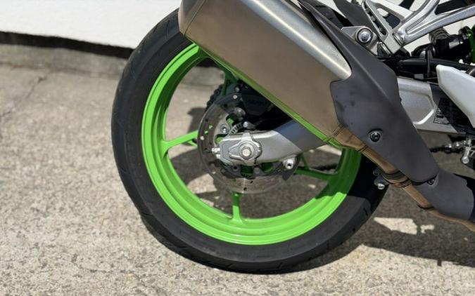 2024 Kawasaki Ninja ZX-4RR 40th Anniversary Edition ABS
