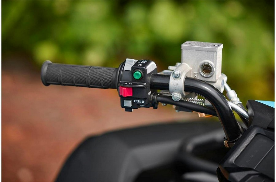 2026 Yamaha GRIZZLY 700 EPS