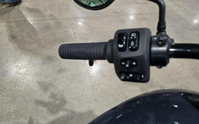 2025 INDIAN MOTORCYCLE CHIEF DARK HORSE
