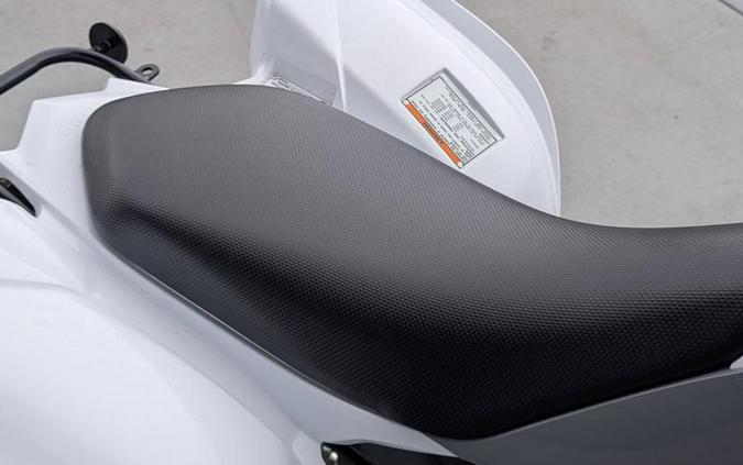 2026 Yamaha Raptor 700