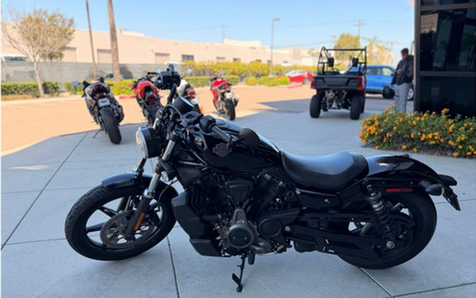 2024 Harley-Davidson Sportster RH975 - Nightster