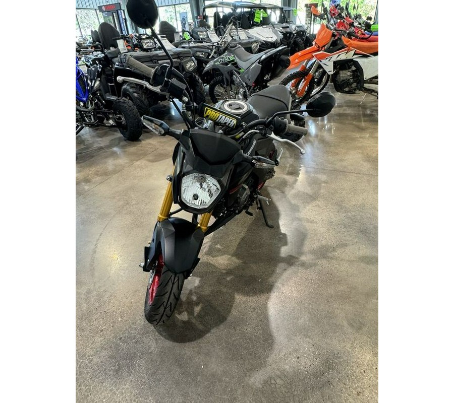 2021 Kawasaki Z125 PRO