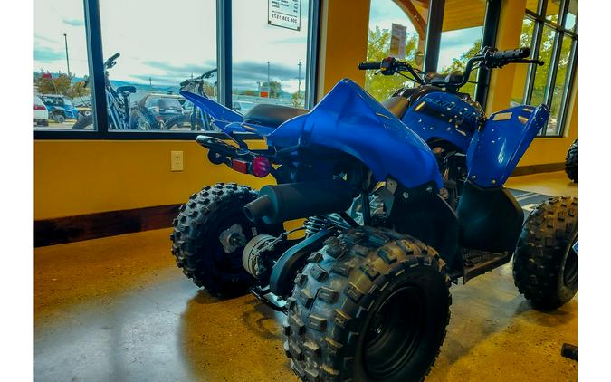 2024 Yamaha Raptor 110