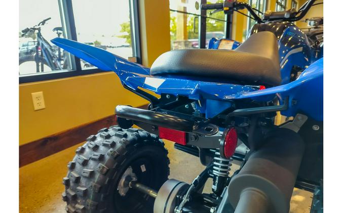 2024 Yamaha Raptor 110