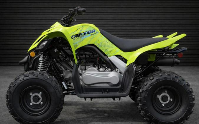 2026 Yamaha Raptor 110