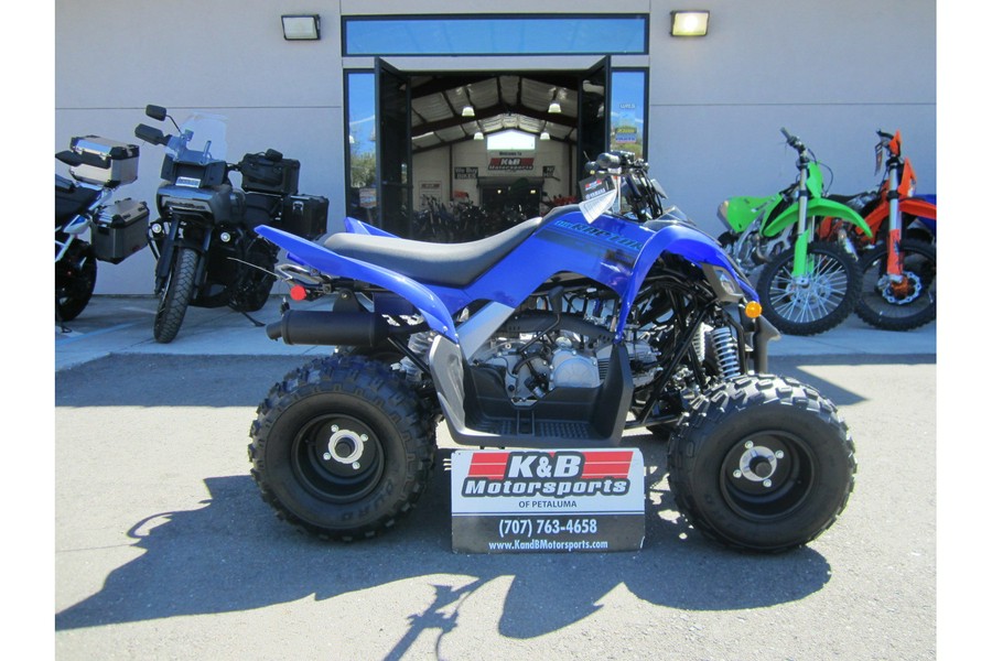 2025 Yamaha Raptor 110