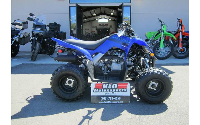 2025 Yamaha Raptor 110