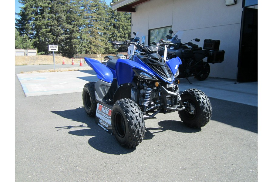 2025 Yamaha Raptor 110