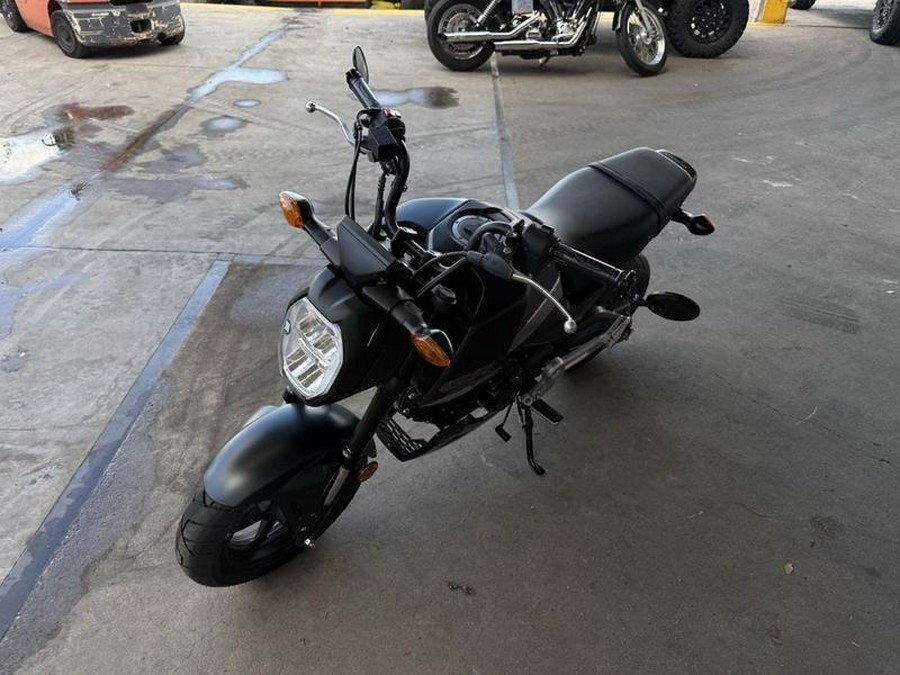 2026 Honda® MSX125T