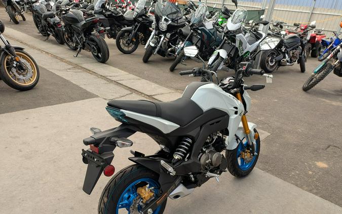 2026 Kawasaki Z125 Pro