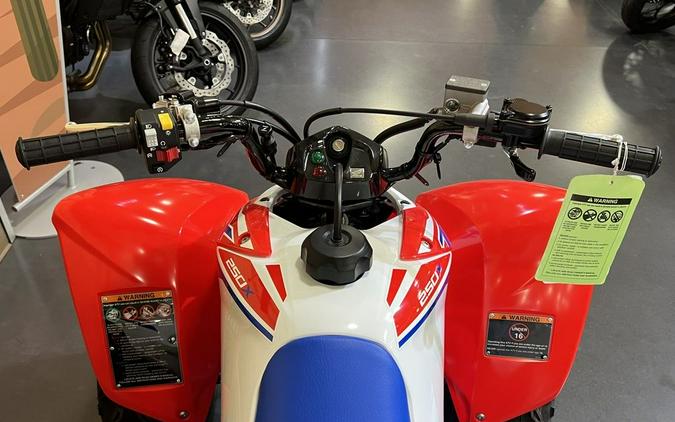 2026 Honda® TRX250X