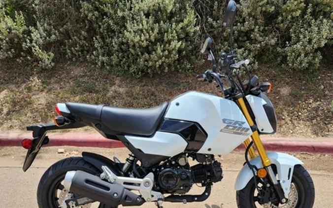 2026 Honda Grom