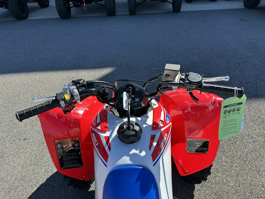 2026 Honda TRX 250X
