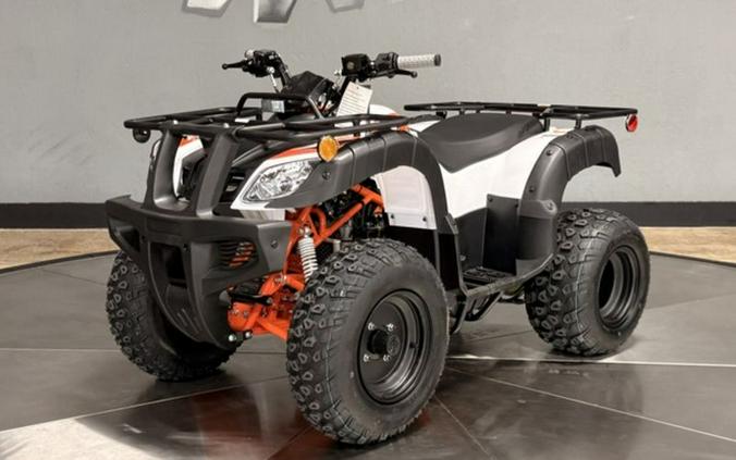 2026 Kayo Bull 150 EFI