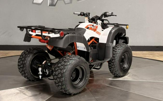 2026 Kayo Bull 150 EFI