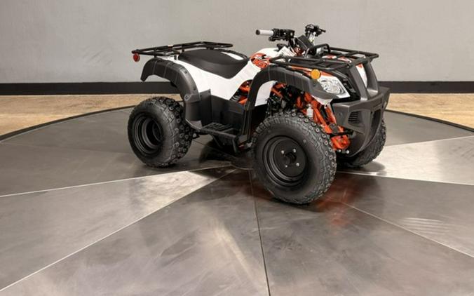 2026 Kayo Bull 150 EFI